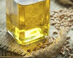 Экстракт зародышей пшеницы – польза и применение масла