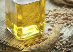 Экстракт зародышей пшеницы – польза и применение масла