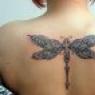 Татуировка стрекоза Что означает татуировка в виде стрекозы